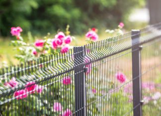 Panelové ploty – kedy a prečo sa pre ne rozhodnúť? 